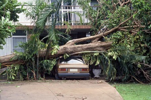 Comunicare un intervento urgente